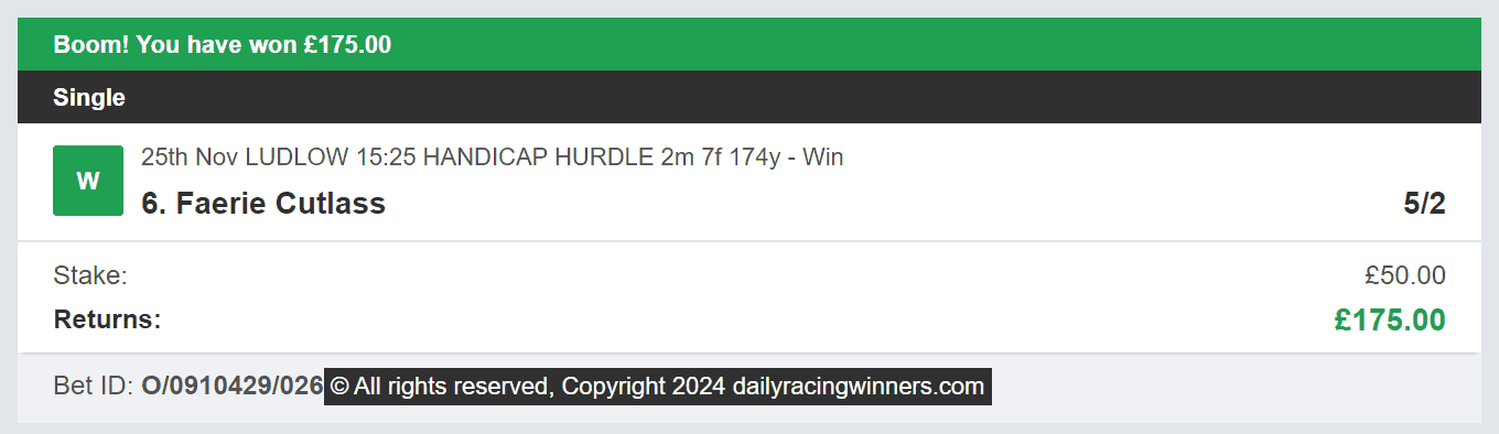 Daily Racing Winners - Winner 2 - 2024-11-25